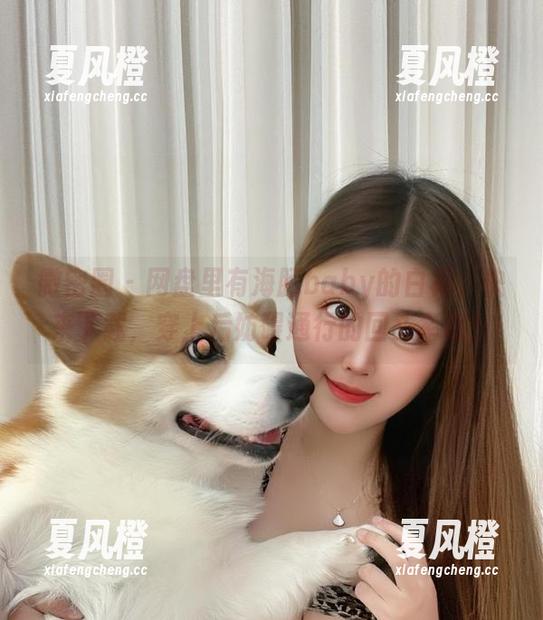 海豚baby 微密圈 - 网盘里有海豚baby的白裙,快来下载,穿上后妨碍通行的回头率哦!
