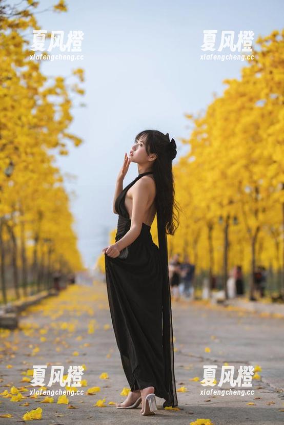 萌芽儿o0 萌芽儿o0的泳装私藏,爱宕款无圣光,比我任何一张美图都让人羡慕!